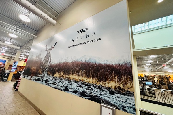 The Impact of Color in Vinyl Signage and Branding | Wall Vinyl for Business